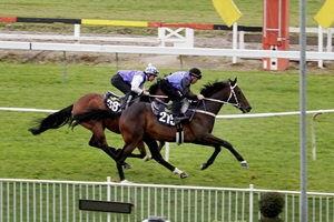 lot 215 and 387 a9673